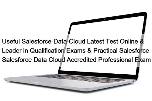 Useful Salesforce-Data-Cloud Latest Test Online & Leader in Qualification Exams & Practical Salesforce Salesforce Data Cloud Accredited Professional Exam