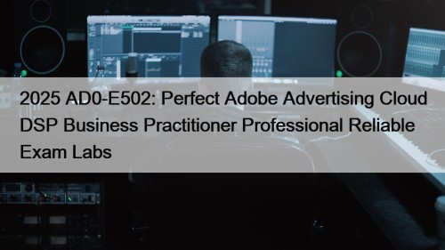 2025 AD0-E502: Perfect Adobe Advertising Cloud DSP Business Practitioner Professional Reliable Exam Labs