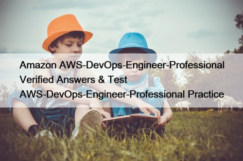 Amazon AWS-DevOps-Engineer-Professional Verified Answers & Test AWS-DevOps-Engineer-Professional Practice